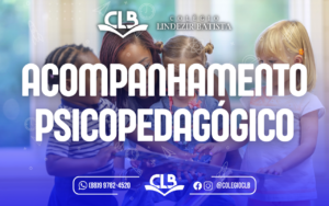 Acompanhamento Psicopedagógico